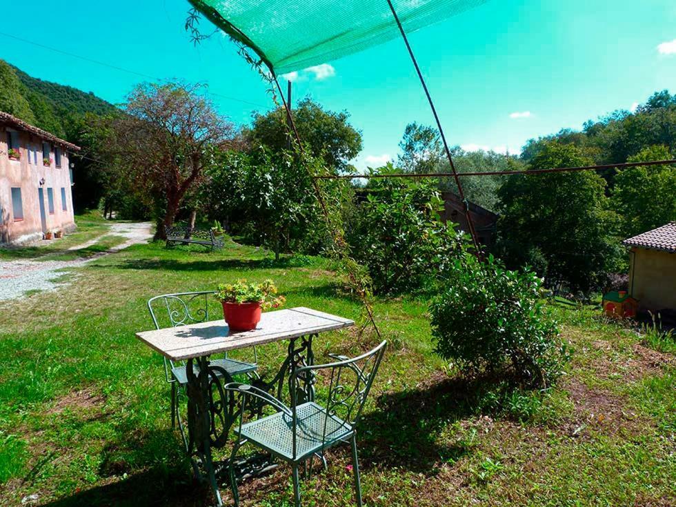 La Cabana Del Moli De La Plana Riudaura Exterior photo