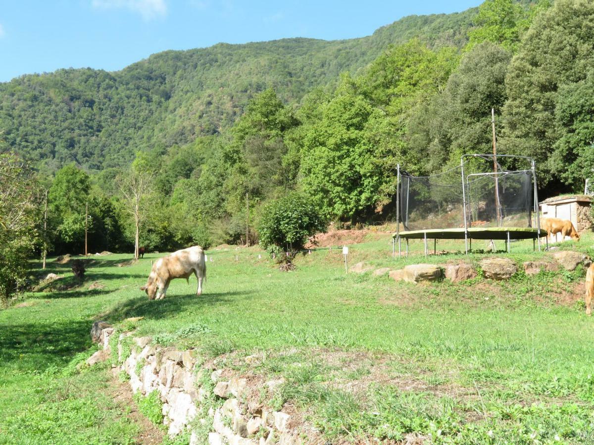 La Cabana Del Moli De La Plana Riudaura Exterior photo